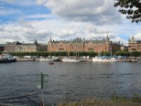 IMG 2842