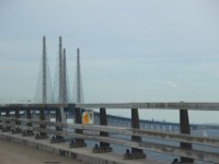 IMG 3455